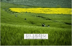 최대 체험형 놀이목장, 농협 안성팜랜드 정식 개장