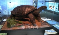 여수엑스포 해양교육의 현장..관전 포인트는