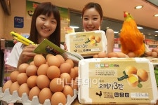 [사진]학생부터 중장년층까지 딱 좋은 오메가3 란!