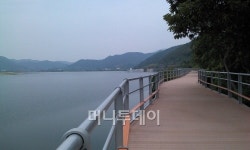 [사진]아름다운 낙동강종주자전거길