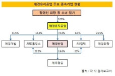 [더벨]오너 소유 애경유지공업, 지주사 전환의 핵