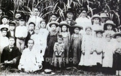 사탕수수 노동자로 떠난 이민자, 700만 韓商으로 화려한 귀환