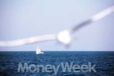 바다와 함께 하는 부산 여행