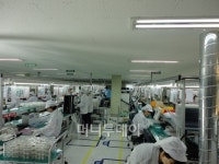 독일 자동차도 한국 중소기업 LED 쓴다