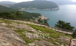 여름 휴가지 1순위 전국 녹색길 10곳 어디?