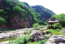 아우라지 가는 발길 세운 곳