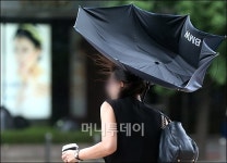 [사진]태풍 볼라벤 북상 강풍 조심하세요