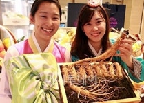 [사진]황금산삼 선물하세요