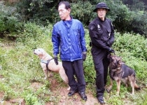 미궁 속 납치 용의자 시신 찾은 건 경찰견 6마리