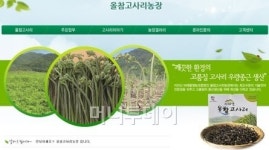 [머니투데이 브랜드대상]나물내음 물씬! 월등한 품질의 고사리 올참고사리농장