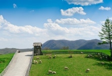 외화 쓰는 해외여행은 1300만명..국내여행 10년째 찬밥?