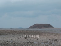 [포토]농섬과 매향리 찾은 자전거