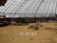 [포토]농섬과 매향리 찾은 자전거