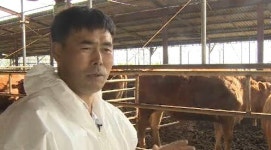 한 근에 30만원 황금 한우 비결 들어봤더니…