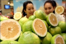 [사진]신세계, 비타민C 풍부한 스위티 자몽 첫선