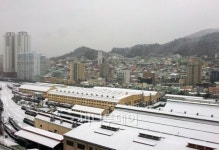대설주의보 부산 일부 지역 출근길 교통대란