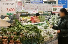 [사진]연일 한파, 채소가격 폭등