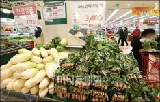 [사진]연이은 한파...껑충 뛴 채소값