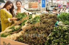 [사진]롯데마트, 향긋한 봄내음 느껴보세요