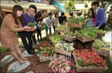 [사진]타임스퀘어, 대형 실내 스프링 가든 조성