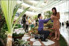 [사진]타임스퀘어, 실내 정원 스프링 가든 조성