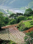 옥천 명품 자전거길 5. 향수300리 탑산·높은벌코스