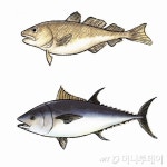 대구, 참치를 좋아하는 우리 아이를 위한 바다 상상하기 그림 공모전