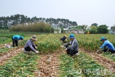 방송통신대, 태안서 1사1촌 봉사활동