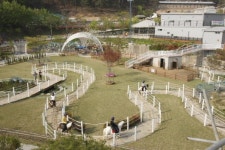 미리내승마클럽, 여름방학 승마캠프 개최