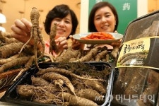 홍천도라지더덕휴게실 | [사진]롯데마트, '홍천 햇 산더덕 맛보세요'