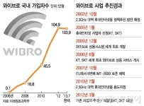 와이브로 황금알에서 오리알된 사연은