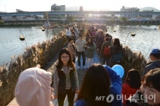 정원박람회에 갈대축제까지, 순천이 더 즐거워진다
