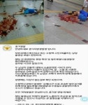 '수원역 칼부림' 사건 피의자 체포