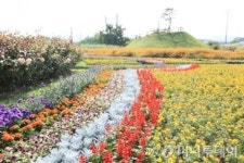 공항철도, 가을 트레킹 코스 ‘드림파크 꽃길 3곳 추천’