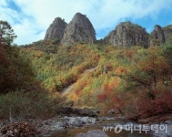영덕 대게도 주왕산 단풍도 붉은 가을빛
