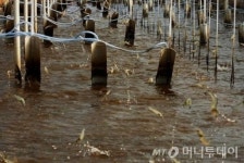 (주)네오엔비즈, 세계적인 수준의 신환경사업 선도