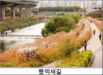 [시티줌]청계천 물억새길서 힐링산책 즐기세요