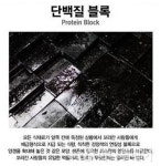 허브엔젤다이어트스쿨 | 허브 다이어트? 차라리 회사를 사고 말지…