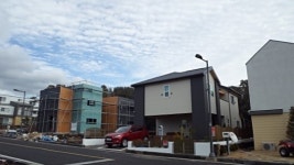 산자락 땅도 4배↑…감귤농장 부르는게 값