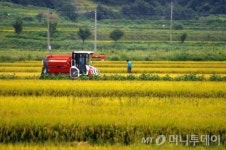 벼농사 한 마지기로 연 24만원도 못 번다