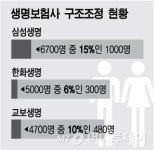 생사의 갈림길 생명보험사, 보험가격 결정권 줘야