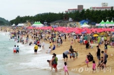 휴가철 축산물원산지 단속…22일 현재 103개소 적발