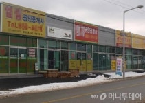 막내기자의 행복도시 세종 입성기