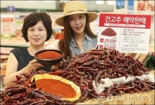 [사진]롯데마트, 유명 산지 홍고추 예약하세요
