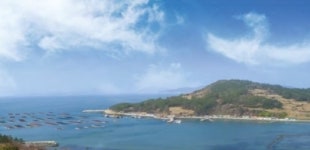 전남 힐링 자전거길 ⑮ 섬 한바퀴 완도 청산도