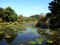 백사장 사이에 숨어있는 신의 비밀정원