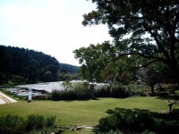 백사장 사이에 숨어있는 신의 비밀정원