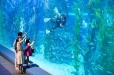 도심 최대 5만5000마리 해양생물 아쿠아리움이 온다