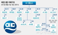 컨트롤타워 AK홀딩스, 일가 지분율 50%