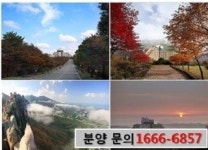 대명리조트, 주왕산관광단지에 콘도 건립 1200억원 투자